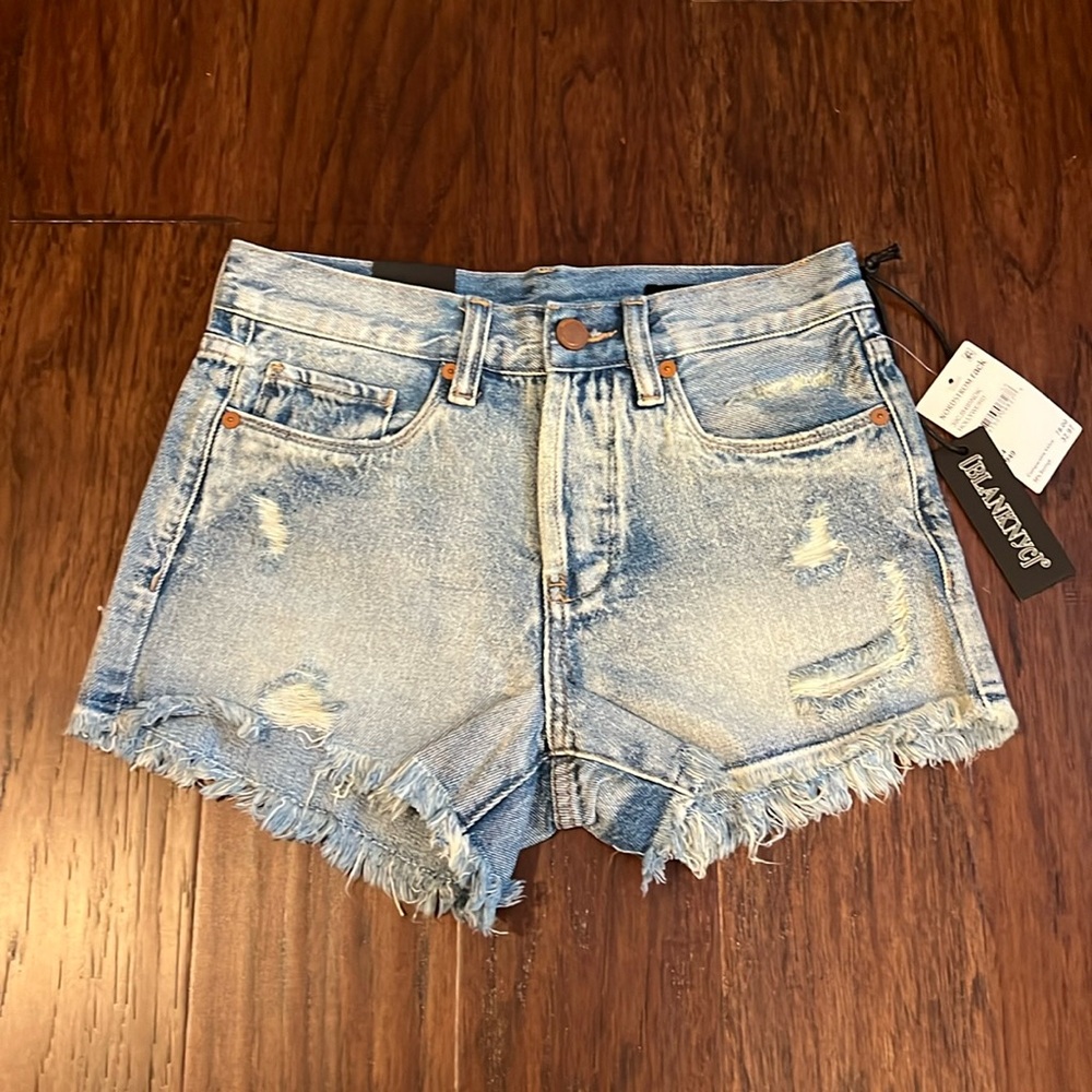 Blank NYC Faded Light Blue Distressed Denim Shorts